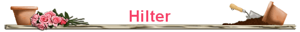 Hilter